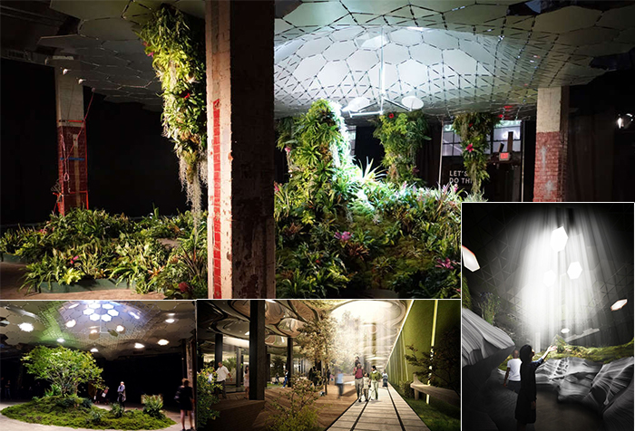 Ánh sáng mặt trời thực sự vẫn được dẫn xuống lòng đất