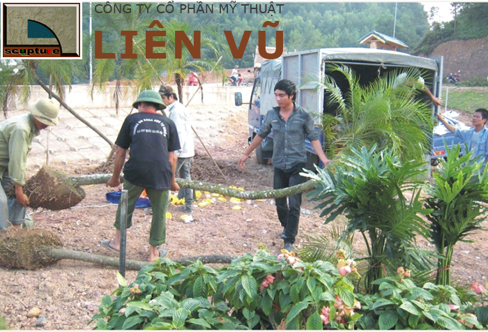 Công ty cây xanh với nguồn cây đa dạng