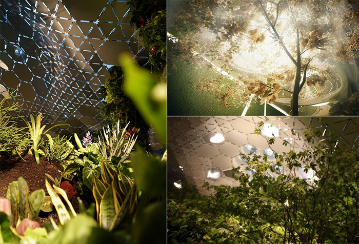 Công viên ngầm dưới lòng đất