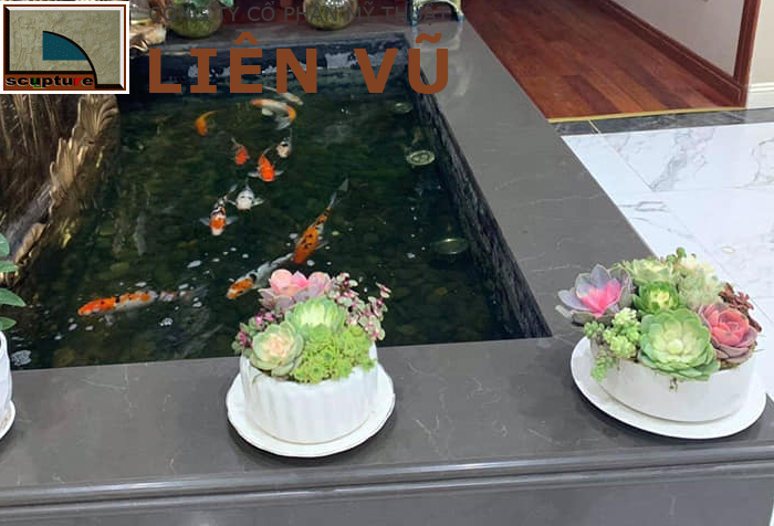 Hồ cá Koi hình chữ nhật