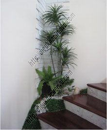 không gian xanh đẹp