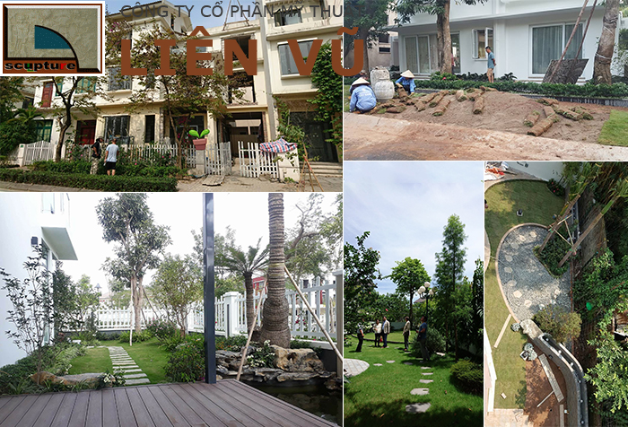 Liên Vũ- thiết kế thi công cảnh quan dự án chuyên nghiệp
