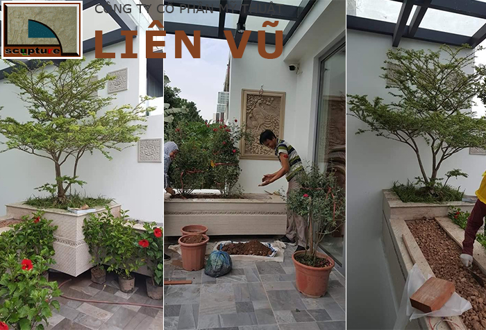 Thi công tiểu cảnh ban công