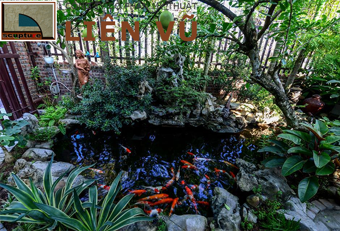 Thi công tiểu cảnh cá Koi kết hợp non bộ