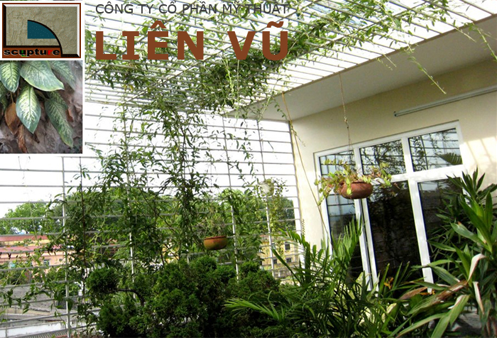 Tiểu cảnh ban công nhỏ