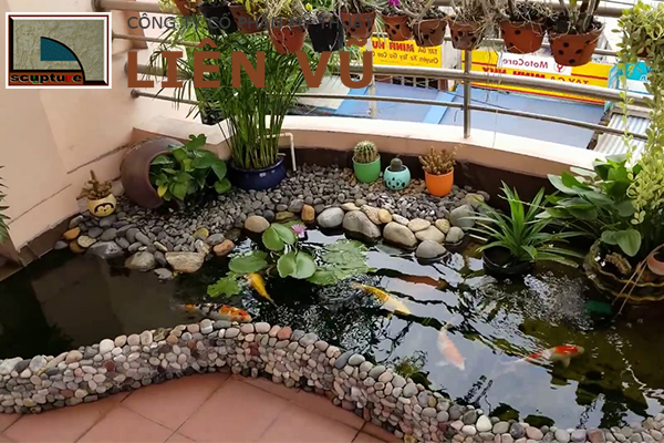 Tiểu cảnh hồ cá Koi trên sân thượng