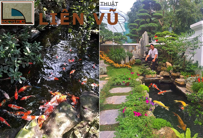 Tiểu cảnh hồ cá Koi trong sân vườn