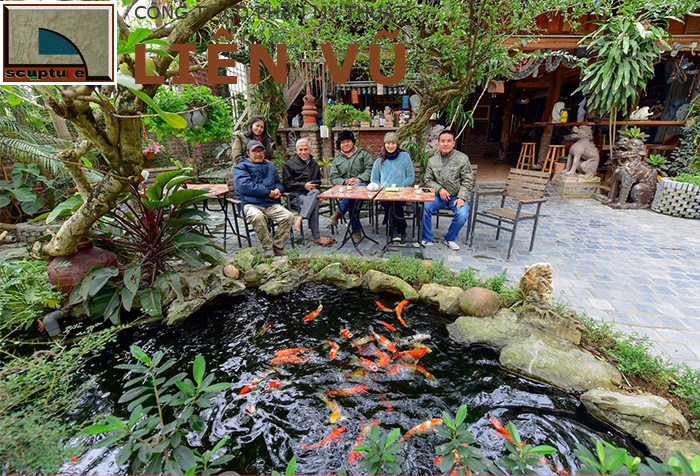 Tiểu cảnh hồ cá Koi trong thiết kế thi công sân vườn