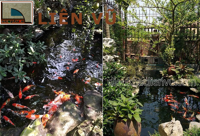 Tiểu cảnh sân vườn đẹp với hồ cá Koi