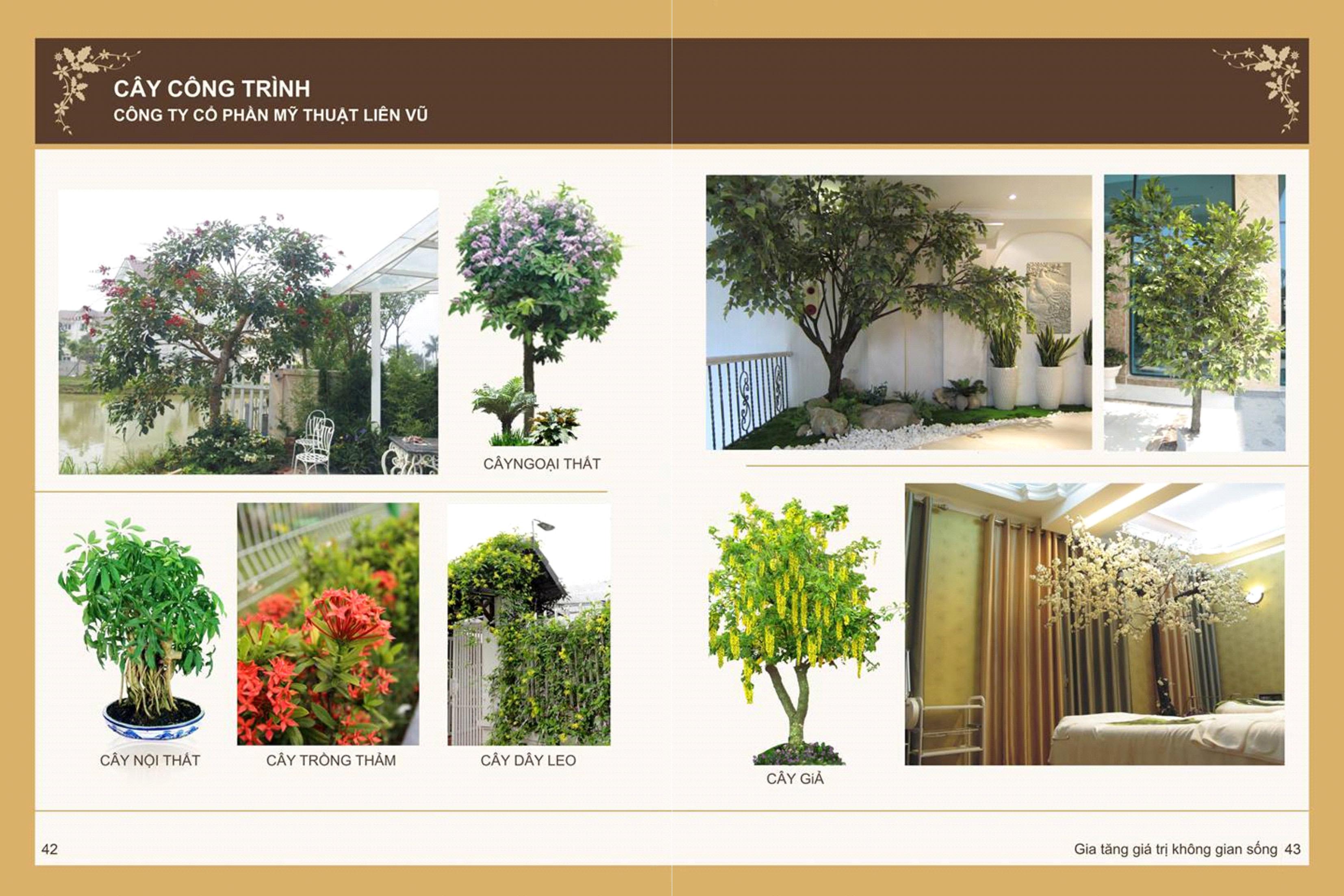 ảnh giới thiệu Thiết kế và thi công sân vườn