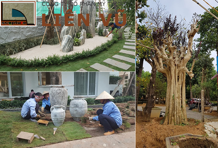 Liên Vũ- tư vấn thiết kế, thi công cảnh quan dự án chuyên nghiệp