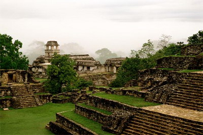 chung tich dieu khac