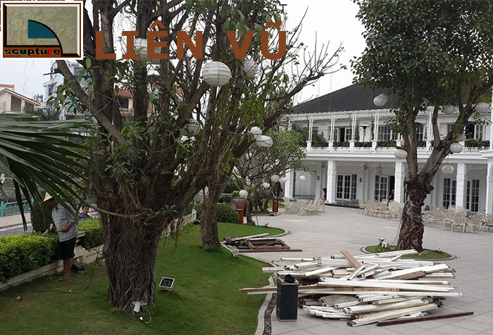 Cảnh quan dự án sân vườn