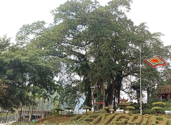 Nhà điêu khắc Nguyễn Văn Vũ với đam mê và sáng tạo