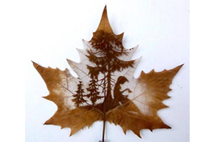 Nghệ thuật điêu khắc trên lá