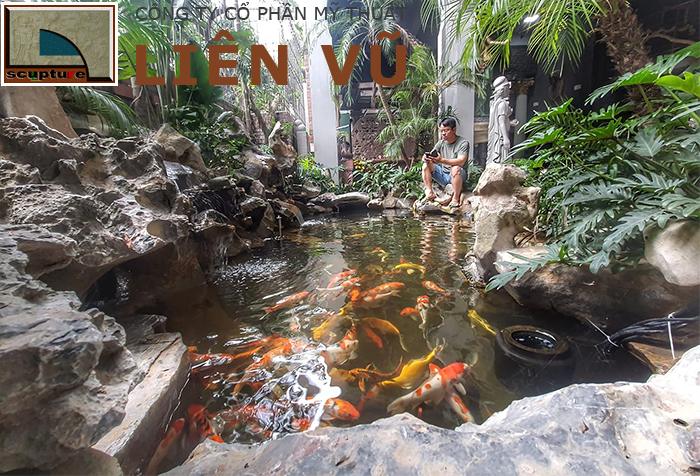 Thi công tiểu cảnh cá Koi