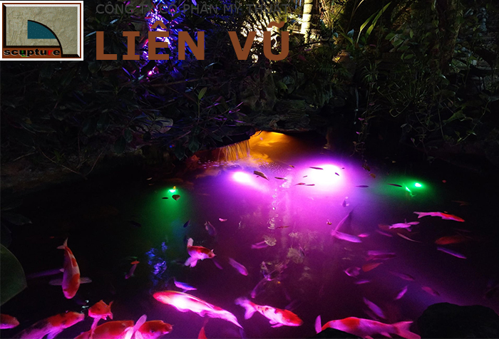 Thi công tiểu cảnh hồ cá Koi đẹp