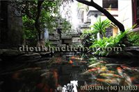 Thú chơi tiểu cảnh nước trong nhà phố hiện đại