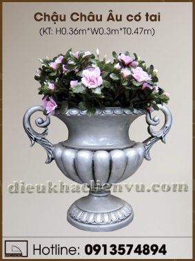 Chậu Châu Âu có tai