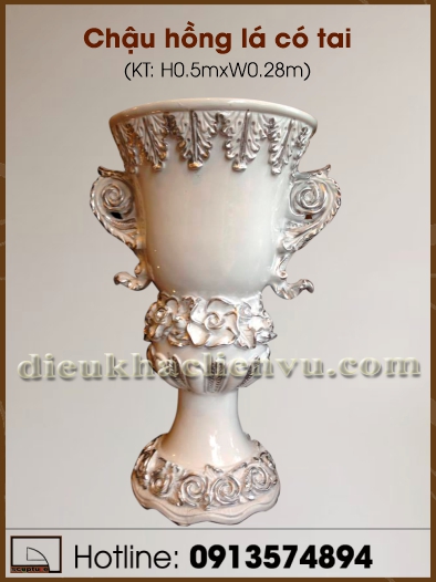Chậu hồng lá có tai