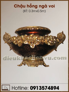 Chậu hồng ngà voi